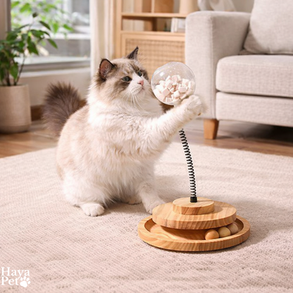 Kattenspeeltje Met Ballenbaan En Veer