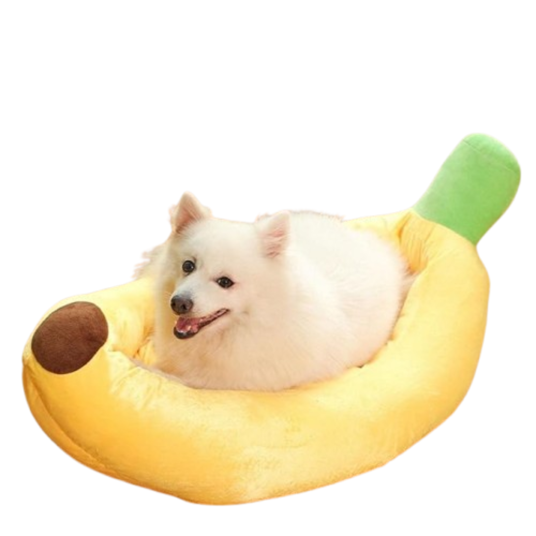 Honden Onverwoestbare Wasbare Mand | Voor Grote Honden