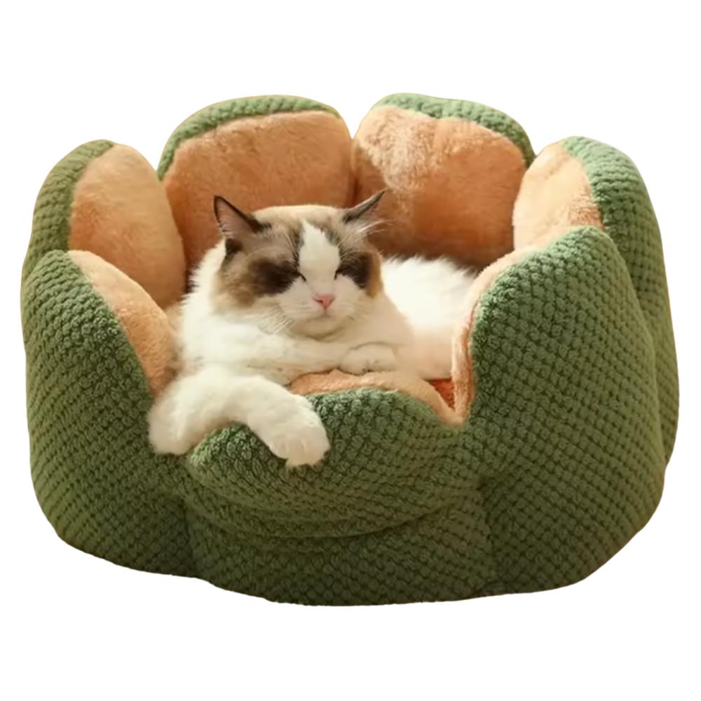 Katten Bloembed | Slaapplek