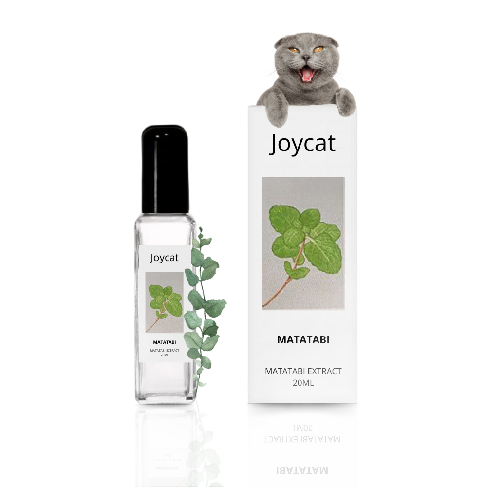 Kattenkruid Spray Natuurlijk Matatabi Voor Katten Speelplezier & Activiteit