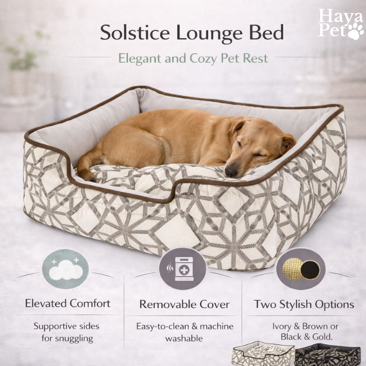 Dog Bed With Sun Pattern