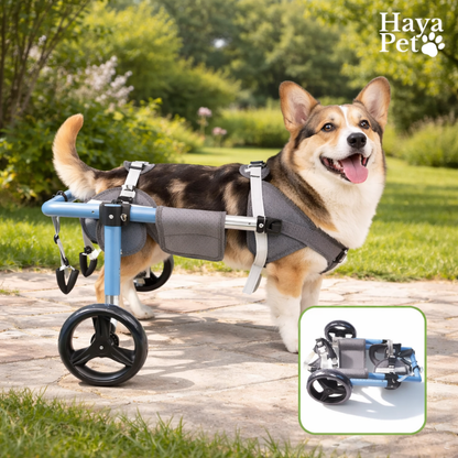 Foldable Dog Wheelchair With Adjustable Frame
