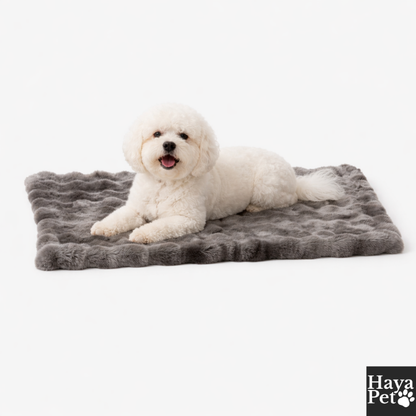 Warme Hondendeken Voor Thuis En Onderweg