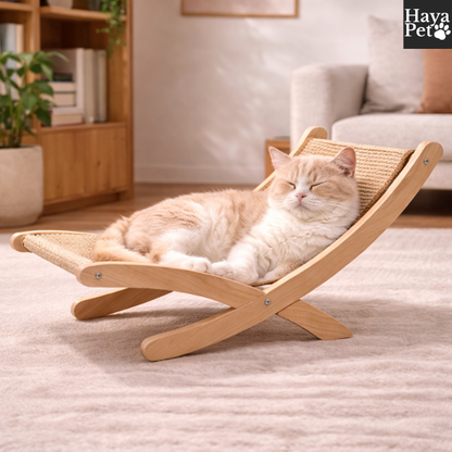 X-Vormige Krabligstoel Voor Katten