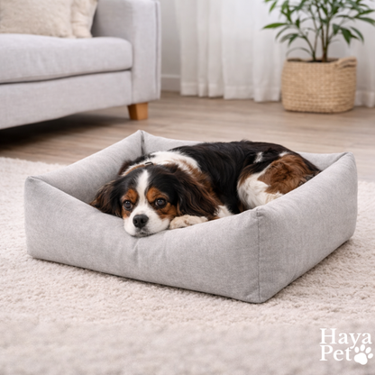 Light Gray Dog Bed With Removable Cover