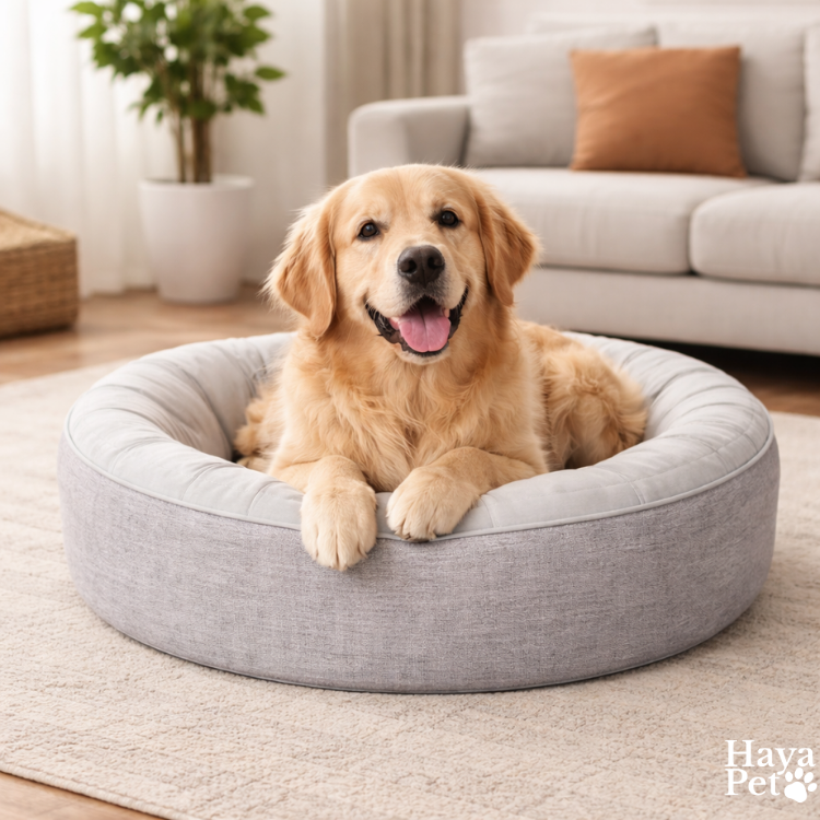 Rond Hondenbed Voor Warme Dagen Met Wasbare Hoes