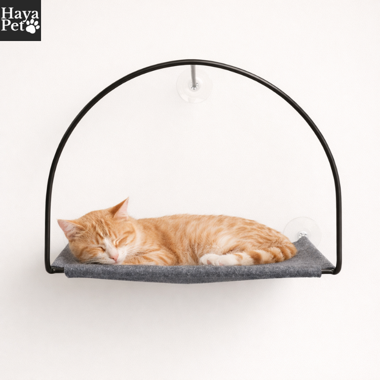 Kattenhangmat Voor Het Raam Met Zuignappen