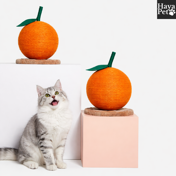 Oranje Krabbal Voor Katten Met Verhoogde Speelstang