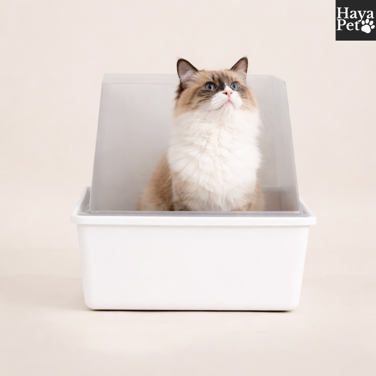 Open Litter Box With High Removable Sides