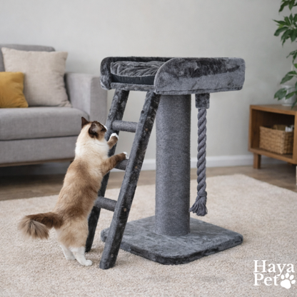 Verhoogd Kattenbed Met Ladder | Antraciet