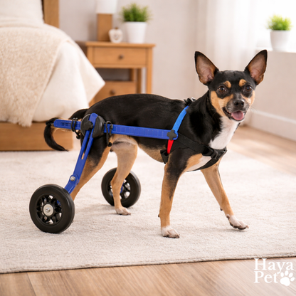 Mini Dog Wheelchair For Hind Leg Support