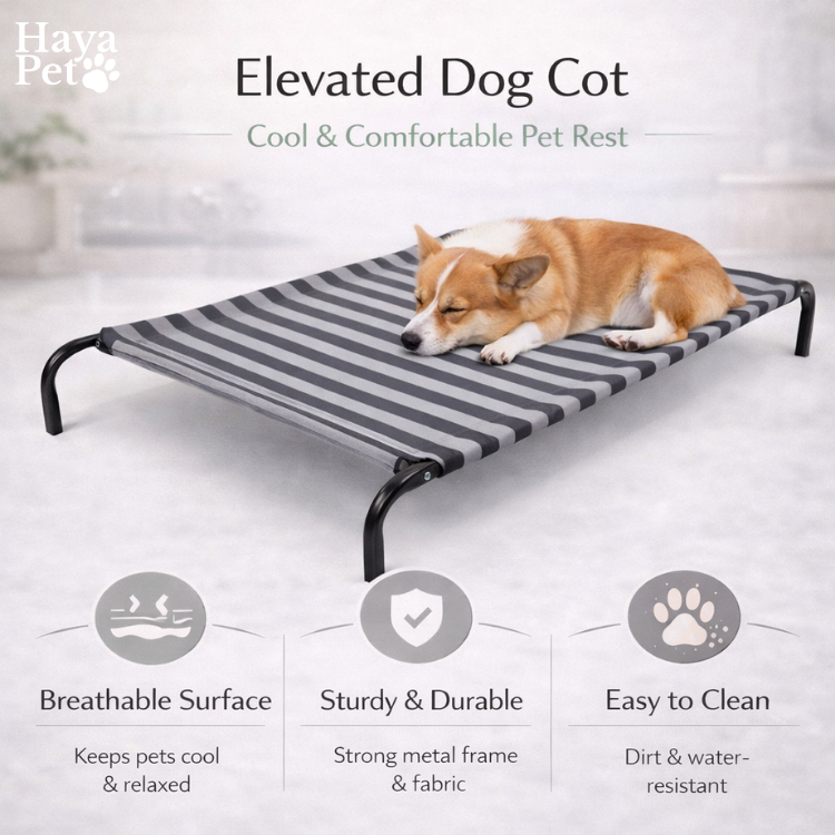 Compacte Hondenligmat Voor Kleine Rassen