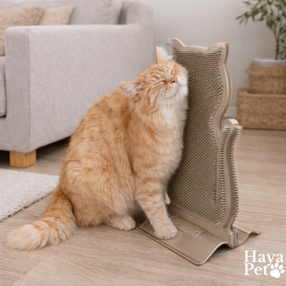 Cat Brush For Self-Grooming