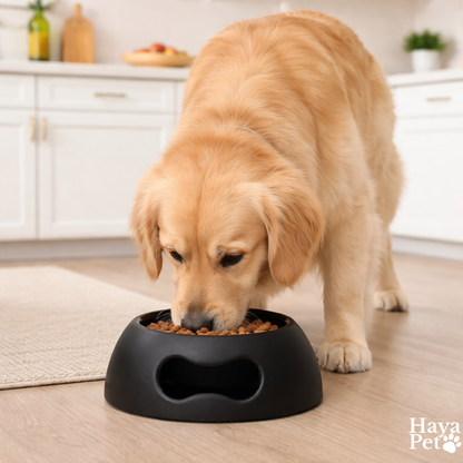 Zwarte Hondenvoerbak Met Antislipbodem