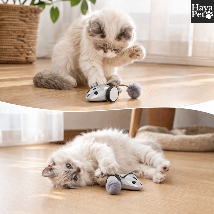 Bestuurbare Speelmuis Voor Katten