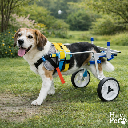 Dog Wheelchair With Two Wheels For Hind Legs