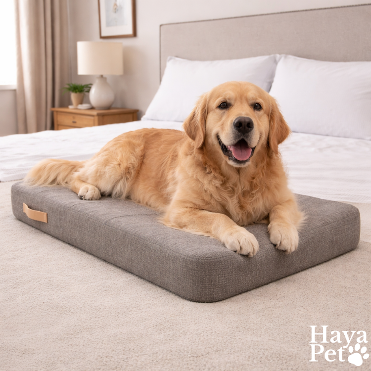 Dog Rest Bed | Dove Gray