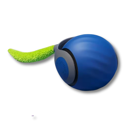 Interactieve Kattenbal Automatisch Bewegend Speelgoed Voor Katten