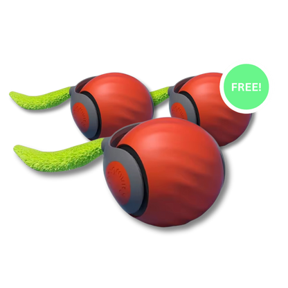 Interactieve Kattenbal Automatisch Bewegend Speelgoed Voor Katten