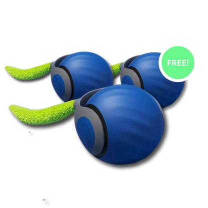 Interactieve Kattenbal Automatisch Bewegend Speelgoed Voor Katten