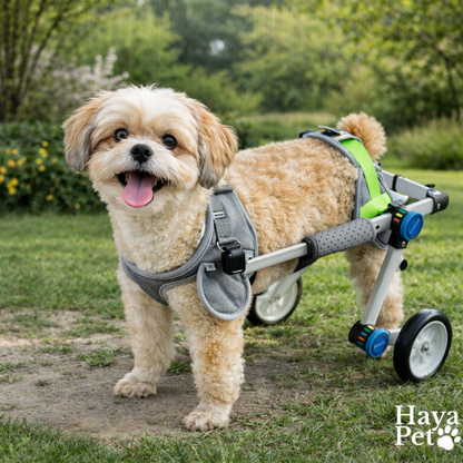 Foldable Dog Wheelchair For Hind Legs