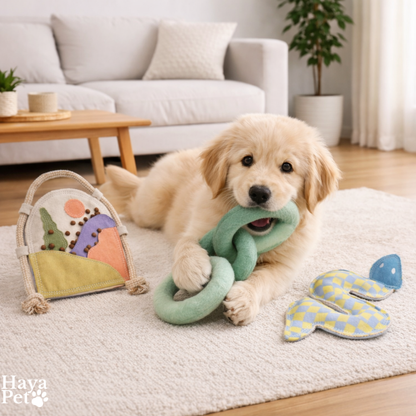 3-Delige Speelgoedbundel Voor Honden Met Puzzel- En Trekspeelgoed