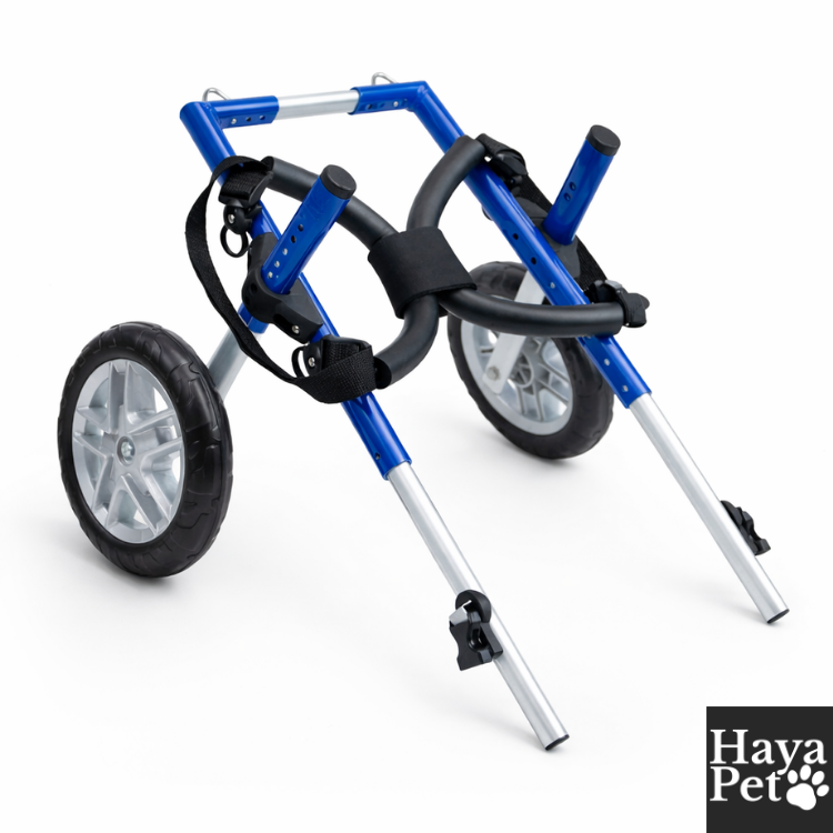 Verstelbare Hondenrolstoel Voor Corgi's