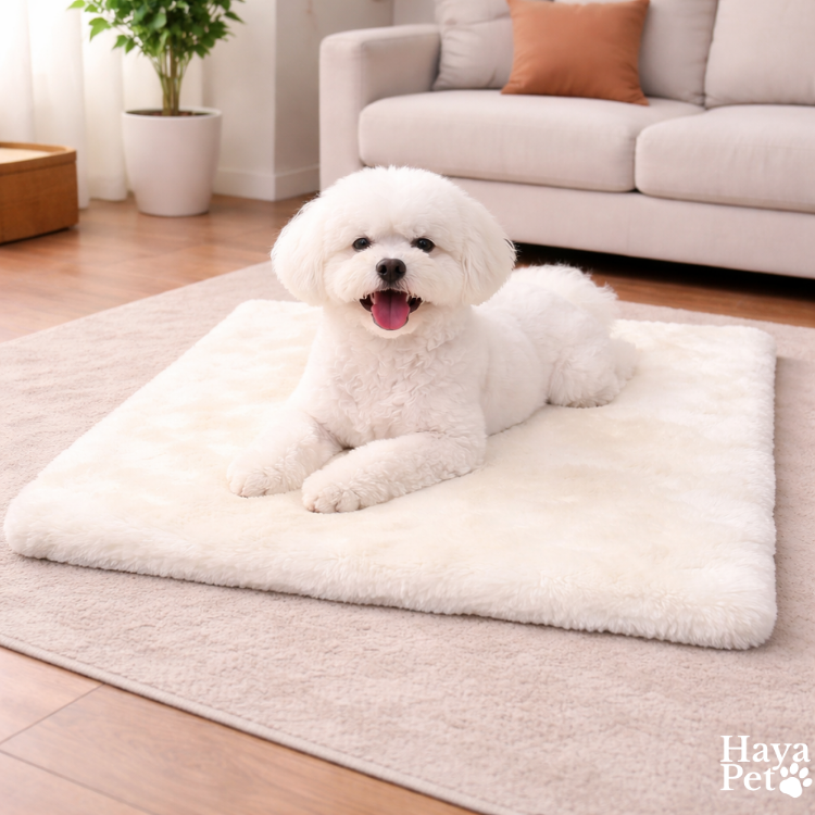 Rechthoekig Hondenkussen Met Verwisselbare Binnenvulling