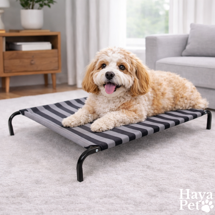 Compacte Hondenligmat Voor Kleine Rassen