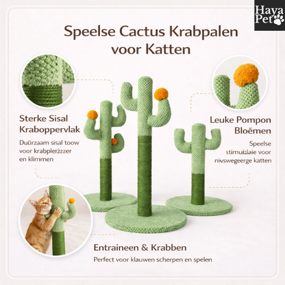 Cactusvormige Krabpaal Voor Katten