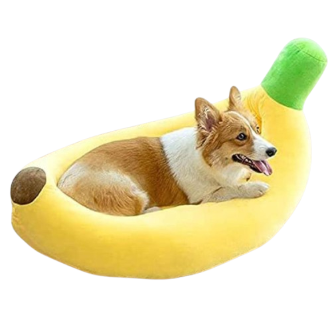 Honden Onverwoestbare Wasbare Mand | Voor Grote Honden