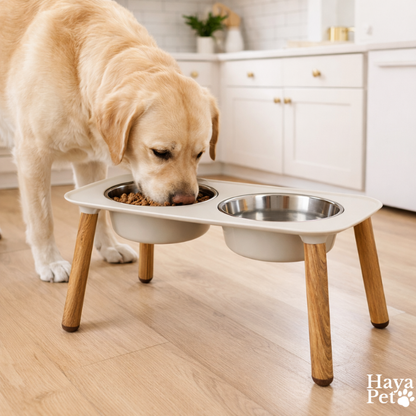 Elevated Double Dog Feeding Bowl With Adjustable Height