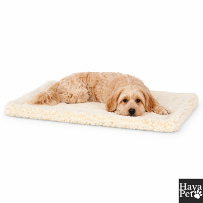 Draagbare Hondenmat Voor Bench En Onderweg