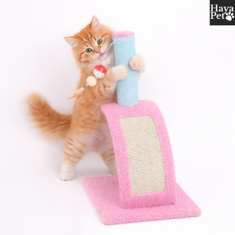 Krabpaal Voor Katten Met Houten Basis