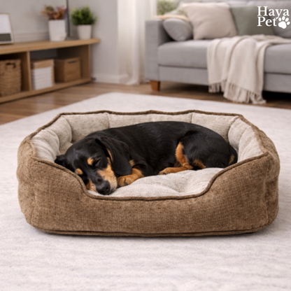 Hondenmand Met Opstaande Randen In Verschillende Maten