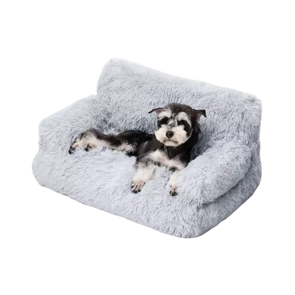 Honden Verhoogd Bed | Wasbare Bank voor Kleine Huisdieren