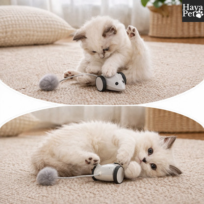 Bestuurbare Speelmuis Voor Katten