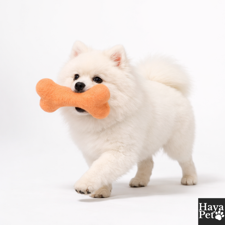 3-Delige Hondenspeelset Voor Trek-, Apporteer- En Kauwspel