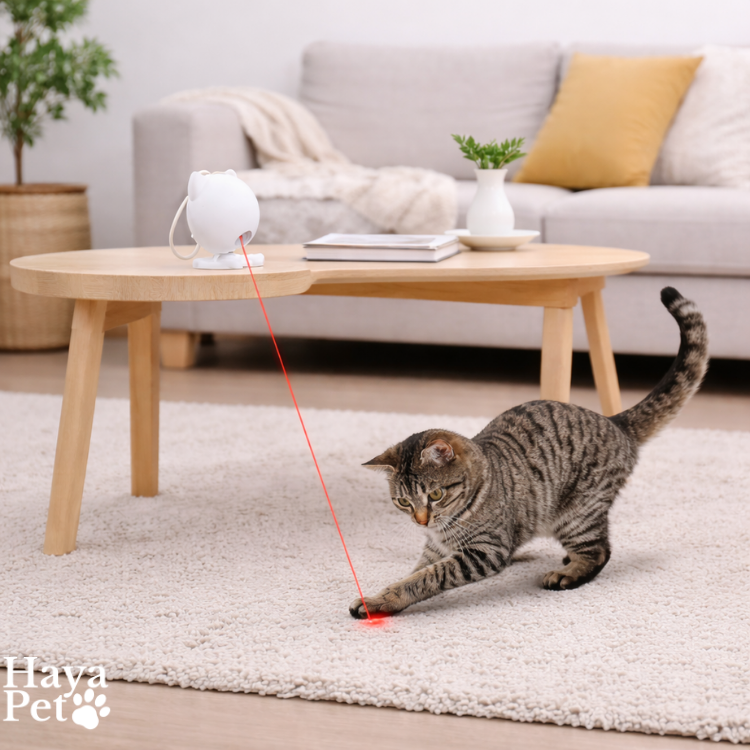 Interactief Laserspeelgoed Voor Katten
