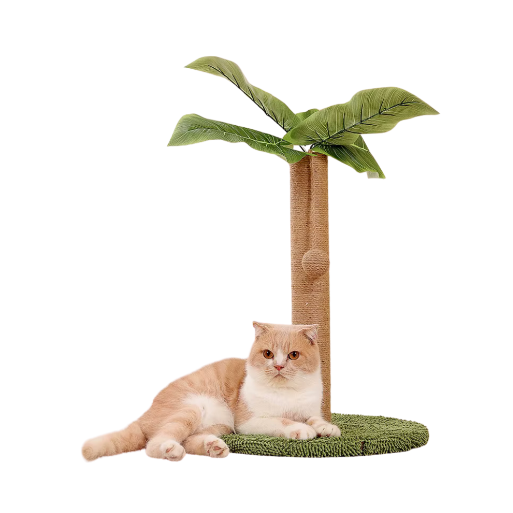 Krabpaal voor Katten | Jungle Avontuur Toren