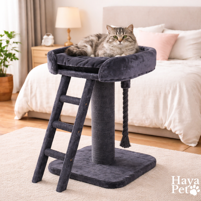 Verhoogd Kattenbed Met Ladder | Antraciet