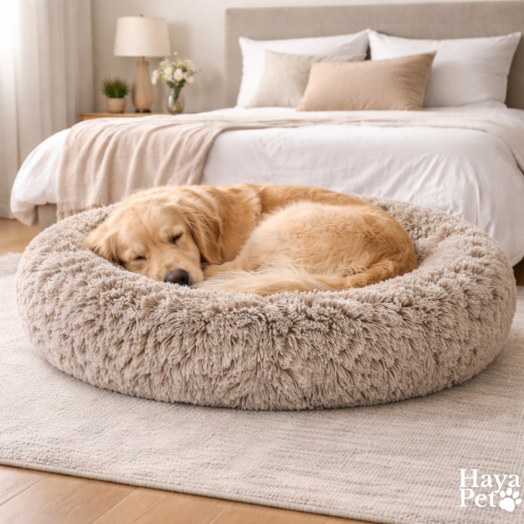 Rond Hondenbed Met Opstaande Rand En Antislipbodem