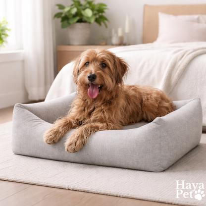 Light Gray Dog Bed With Removable Cover