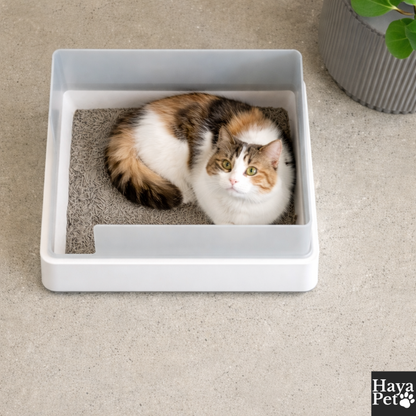 Open Litter Box With High Removable Sides