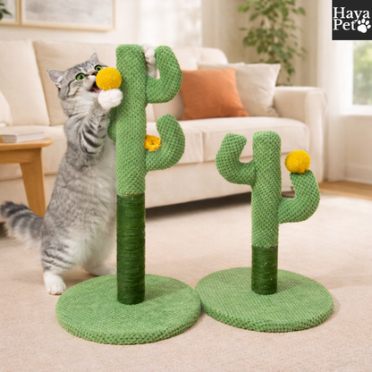 Cactusvormige Krabpaal Voor Katten