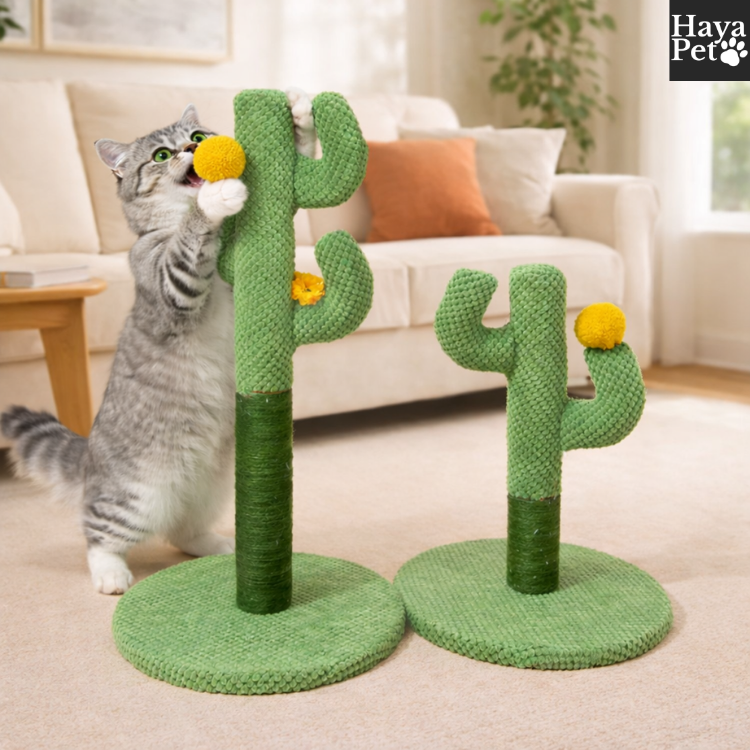 Cactusvormige Krabpaal Voor Katten