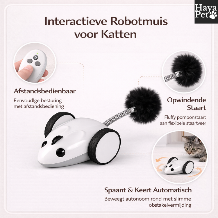 Bestuurbare Speelmuis Voor Katten