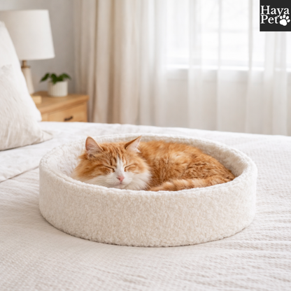 Nest-Shaped Cat Bed With Curved Edge