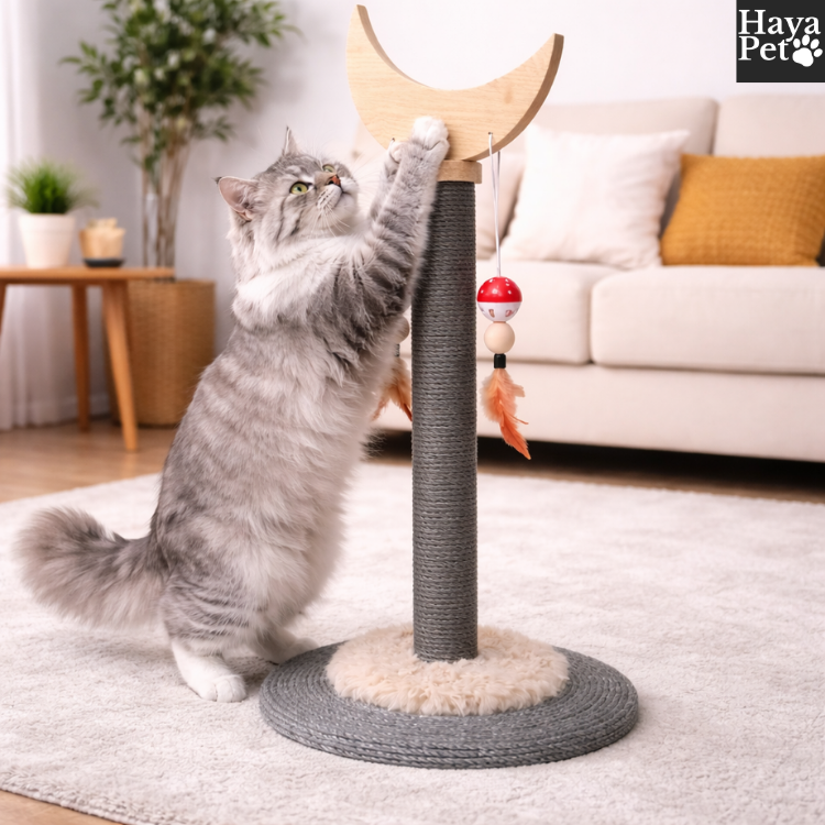 Kattenkrabpaal Met Halvemaan- Of Waaiervorm