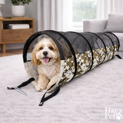 Play Tunnel For Cats And Dogs